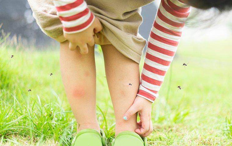 AGGAFA Mosquito Arm sleeves, Providing a physical barrier